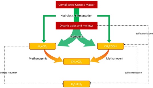 1-s2.0-S2211715624002455-gr4
